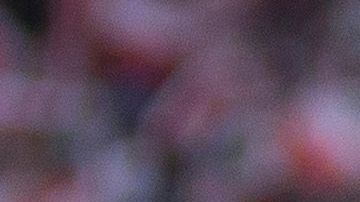 'Chofis' López en el partido de liga ante Jaguares de Chiapas.