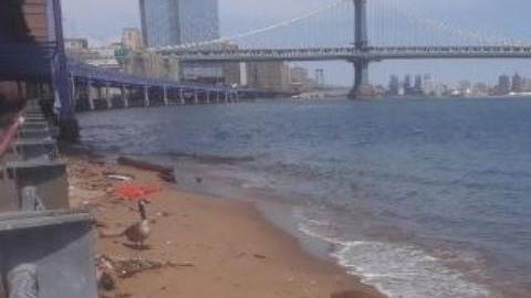 East River, Manhattan/Archivo.