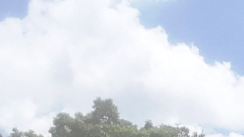 ONU