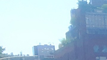 Reglas estrictas para evitar el regreso del virus