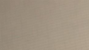 Cadena halló parte de una mandíbula y de extremidades.