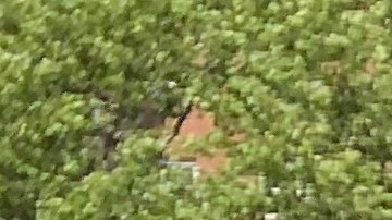 Antonio Ureña, residente de El Barrio está de acuerdo con cuarentena a quienes lleguen de PR