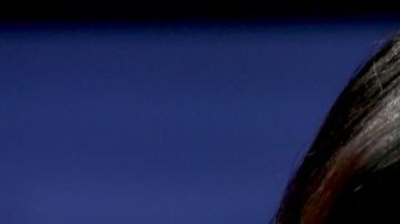 Dayanara Torres.