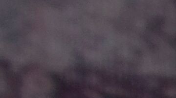 La comunidad en Houston clama justicia mientras llora la muerte de Guillén.