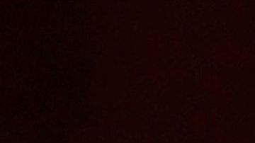 Críticos indican que Trump quiere descargarse de sus culpas por gestión de la pandemia,