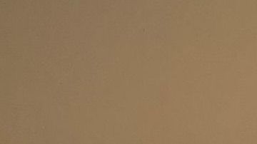 El oficial de policía de Los Ángeles, Juan Bustamante sobrevive al coronavirus. (Cortesía oficial Juan Bustamante)