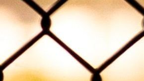 Estados y ciudades siguen rebajando sus medidas de contención del virus.