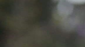 Batidos de proteínas.