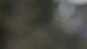 Batidos de proteínas.