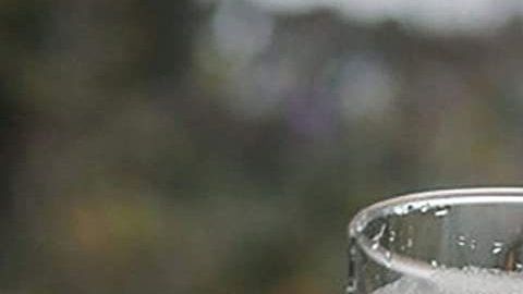 Batidos de proteínas.