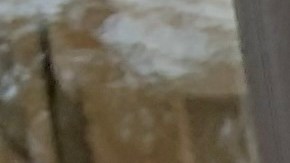 Genoveva González, madre de dos niños bajo educación especial, aun no sabe si enviará o no a sus niños a clases presenciales