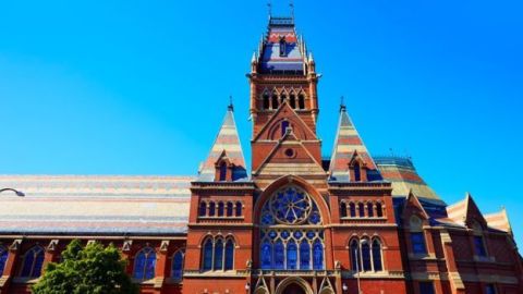 El centro de coordinación de la UDN está en la Universidad de Harvard, en EE.UU. Thinkstock
