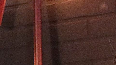 Eugenio Derbez pidió castigo en caso de perro asesinado en México.