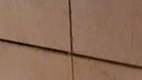 Sus vecinos ya lo habían amenazado; no lo querían en el barrio.