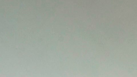 AMLO y Trump al salir a la Rosaleda.
