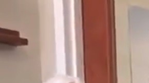 El mandatario mexicano publicó un video en Twitter.