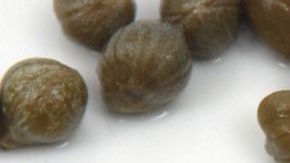 Las alcaparras son usadas en la medicina tradicional por sus propiedades antihelmínticas, anticancerígenas, antidiabéticas y antiinflamatorias.