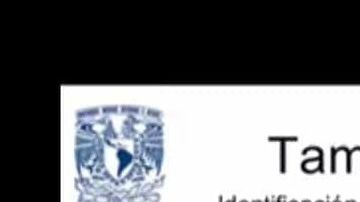 Personal de Salud se ha visto afectado emocionalmente por la pandemia de coronavirus.