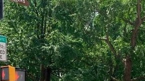 Esta imagen del miércoles muestra el área tras ser tomada por la Policía, y el 30 de junio cuando estaba en pleno apogeo el campamento.