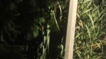 FOTOS: Sicarios matan a balazos a 6 jóvenes, todo apunta a brazo armado del CJNG