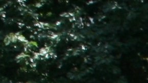 Coaliciones de la Gran Manzana como la Asociación de trabajadoras de salones de uñas centran sus esperanzas en Ley estatal.  (Foto: F Martínez)