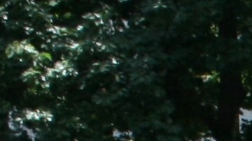 Coaliciones de la Gran Manzana como la Asociación de trabajadoras de salones de uñas centran sus esperanzas en Ley estatal.  (Foto: F Martínez)