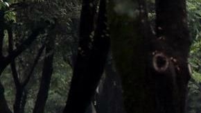 Imagen de la camioneta donde viajaba el jefe policial.