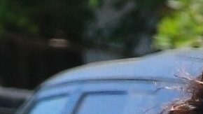 Eiza González y Timothée Chalamet