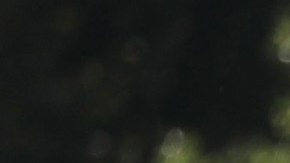 40 balaceras se registraron este fin de semana en NYC. (Foto: AFP - Getty Images)