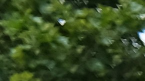 Escena criminal marcada por NYPD/Archivo.