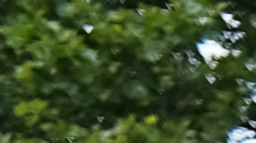 Escena criminal marcada por NYPD/Archivo.