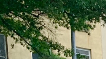 Cuomo criticó a los jóvenes que consumen alcohol en las afueras de los restaurantes y bares.