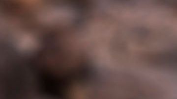 Palanca de transmisión manual tapizada en piel