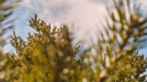 Ford Bronco 2021 de dos puertas