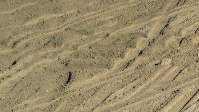 Ford Bronco de cuatro puertas con paneles de toldo removibles