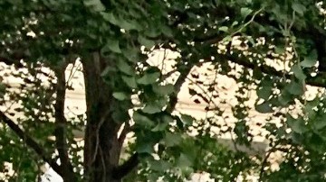 El campamento comenzó el 23 de junio y fue creciendo en número de personas con el paso de los días.