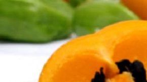 Canibalazzo-Panucho Commons