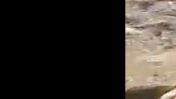 VIDEO: Caro Quintero tras la matanza de 10 a unas millas de frontera con EE.UU.