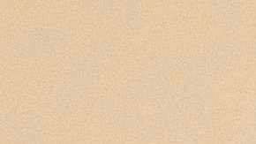 •	En la campaña se contará con el apoyo de organizaciones comunitarias que ayudan en el combate de la pobreza.