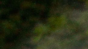 Checo Pérez Hungría