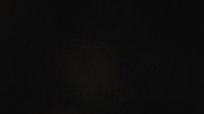 Chicharito lesionado