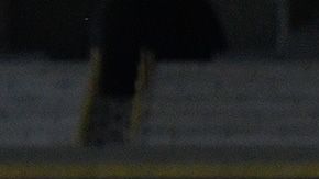 Cruz Azul Campeón Copa por México