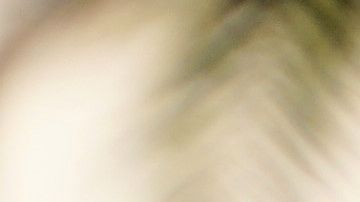 La mayoría de los estadounidenses apoya una reforma migratoria para los dreamers.  (Manuel Ocaño)