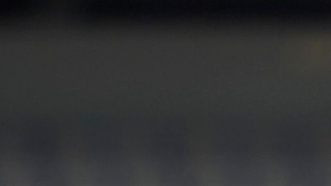 Freire autogol pumas