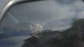 Dejar olvidado a tu bebé en el auto aún con las ventanillas abiertas podría provocarle la muerte.