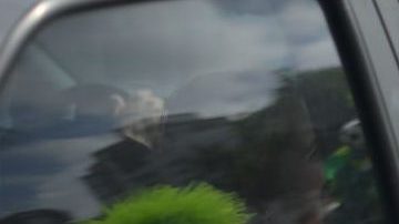 Dejar olvidado a tu bebé en el auto aún con las ventanillas abiertas podría provocarle la muerte.