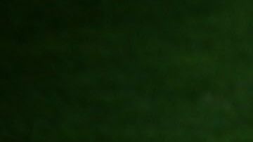 El baile estilo Marinera es tradicional de Perú.