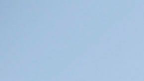 Walmart discriminación cosméticos afroamericanos George Floyd robos