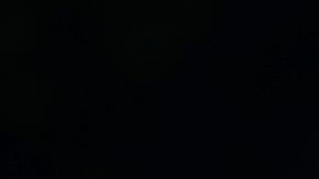 La obra se erigió hace un año cerca del lugar de nacimiento de la primera dama.