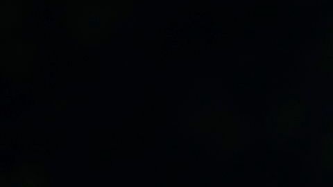 La obra se erigió hace un año cerca del lugar de nacimiento de la primera dama.